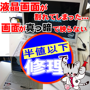 �t���p�l�������C����PCR�T�[�r�X